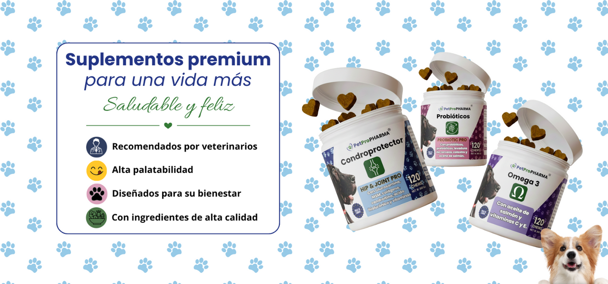 slider image slider_item_T4cT3k