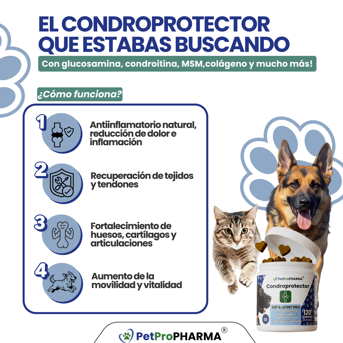 Condroprotector Articular Hip&Joint PRO