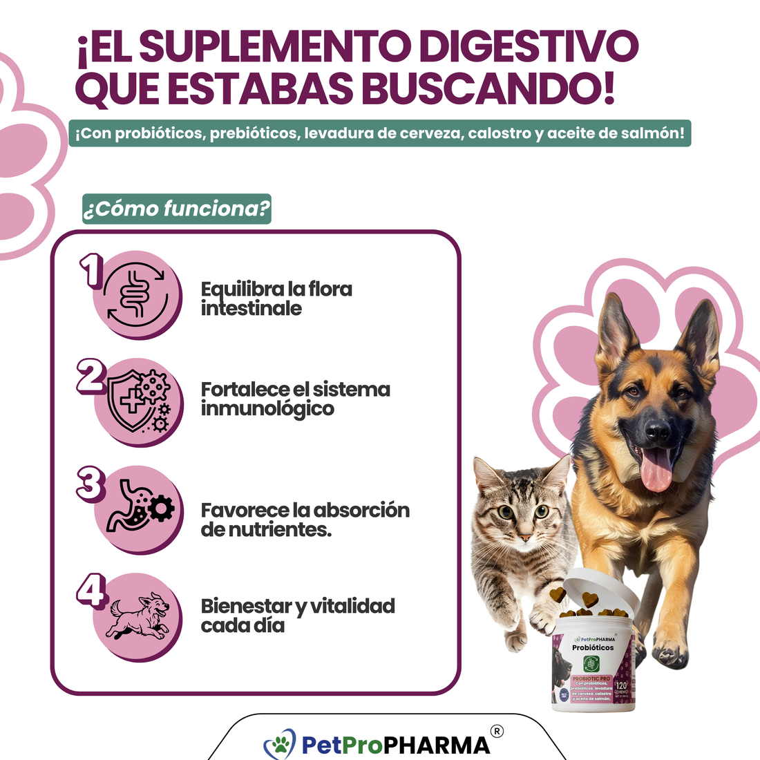 Soporte Digestivo Probiotic PRO