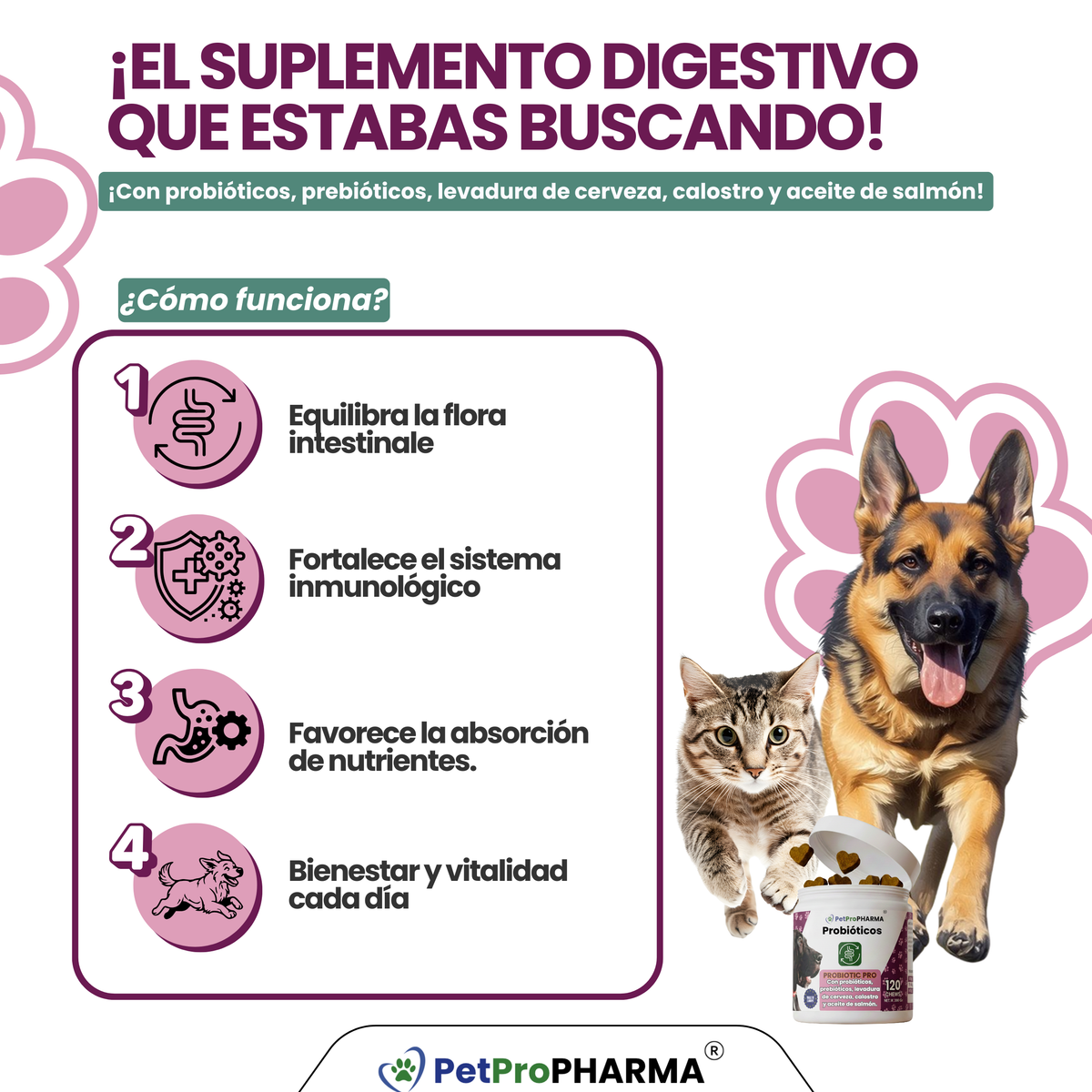 Soporte Digestivo Probiotic PRO