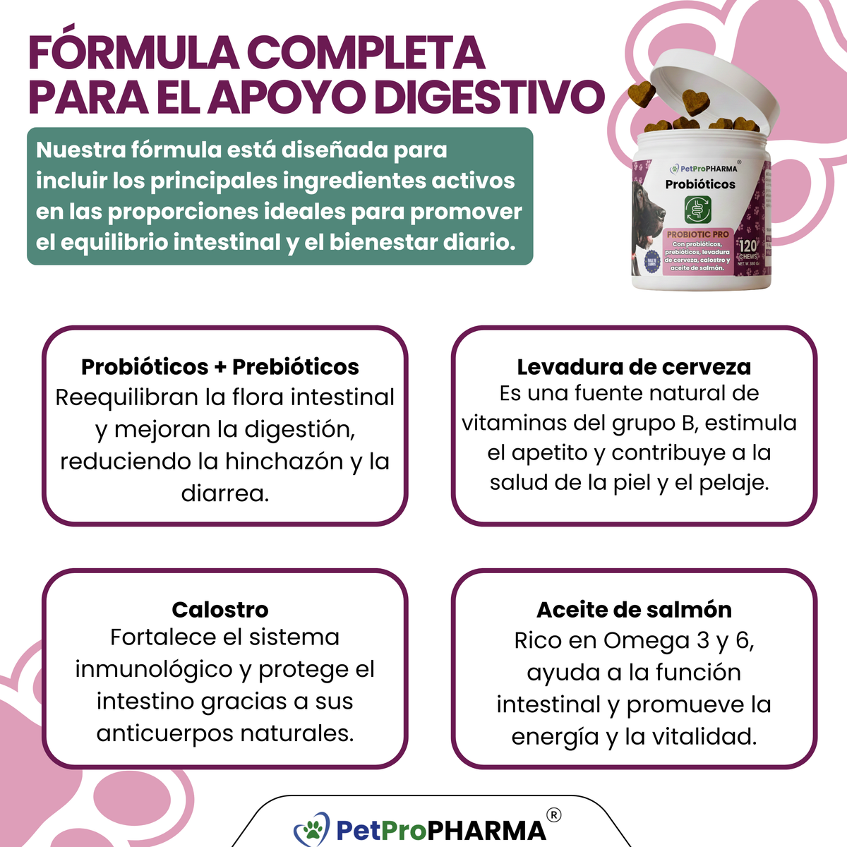 Soporte Digestivo Probiotic PRO