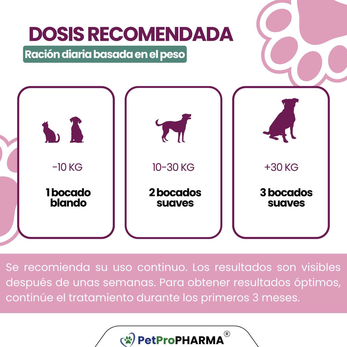 Soporte Digestivo Probiotic PRO