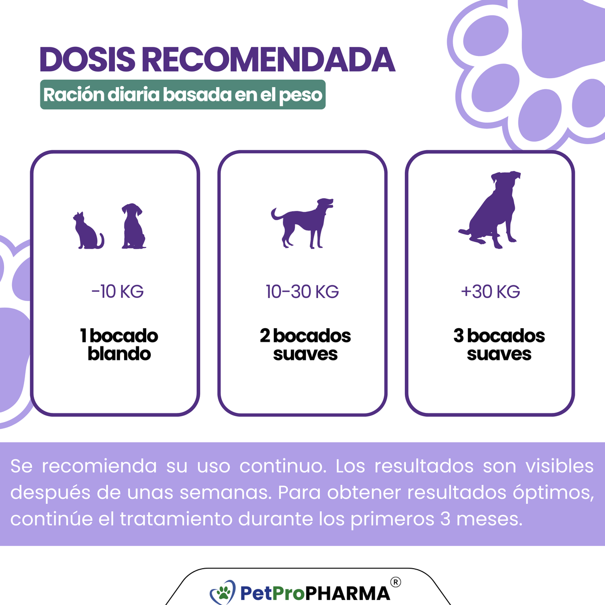 Soporte Dermatológico Skin&Coat PRO